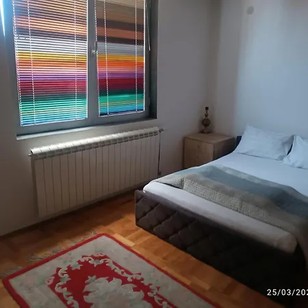 Vasic 克拉古耶瓦茨